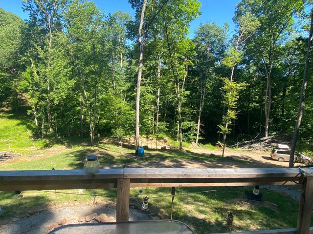 Mountain Side Yurt photo 3