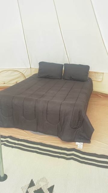 Mountain Side Yurt photo 5